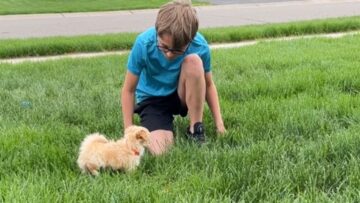 Sweet-Boys-Adorable-Reaction-to-a-Surprise-Puppy-Will-Melt.jpg