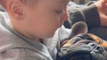 Toddler-Boys-Adorable-Hugs-for-His-Best-Friend-French-Bulldog.jpg