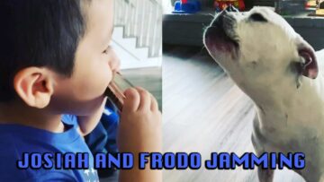 Toddler-and-Dog-Dancing-to-Harmonica-Melody-Adorable-cute.jpg