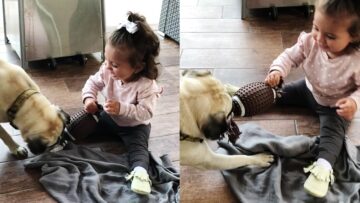 Toddler-and-Dog-Engage-in-Epic-Tug-of-War-Battle-Adorable.jpg