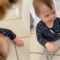 Toddler left in total shock as dog tramples on him! | Adorable