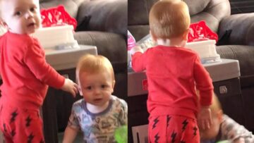 Toddler-loses-it-on-twin-bro-Adorable-WooGlobe-Funnies.jpg