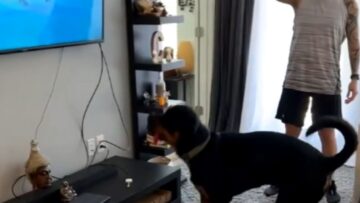 Watch-This-Jealous-Pups-Hilarious-Reaction-When-Mom-Tries-to.jpg