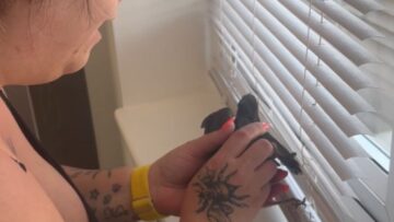 Woman-rescues-adorable-baby-bird-and-reunites-it-with-mom.jpg