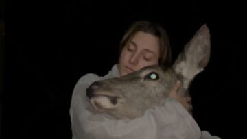 A-Womans-Nighttime-Bond-with-a-Beloved-Deer-Beneath-the.jpg