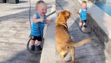 Baby-boy-cant-stop-giggling-playing-with-dog-hose.jpg