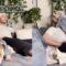 Can Your Pup Handle the Ultimate Name Game? Prepare for Giggles! | Try Not to Laugh