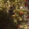 Tree Climbing Fiasco: Hilarity Ensues When Christmas Spirit Takes a Tumble! | Try Not to Laugh
