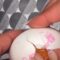 Colorful Pancake Catastrophe: Watch Her Rainbow Dreams Turn to Laughter! | Try Not to Laugh