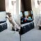 Confused dog runs off chasing animals on TV! | Super Cute 🐾