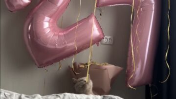 Curious-Cat-Steals-Balloon-and-Casually-Struts-Away-Adorable.jpg