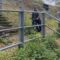 Dad’s Epic Bike Fail: Watch Him Tumble Down the Steps Like a Comedy Skit! | Try Not to Laugh!
