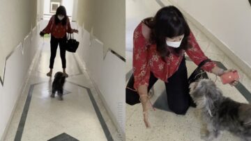 Dogs-adorable-reaction-meeting-owner-after-3-months-Super.jpg