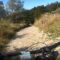 Epic MTB Mishap: Little Rider’s Hilarious Crash Adventure | Try Not to Laugh!