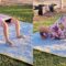 Flexibility Showdown: Watch This Little Girl Dominate with Hilarious Moves! | Try Not to Laugh
