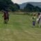 Galloping Giggles: When Pony Power Meets Beach Bound Blunders! | Try Not to Laugh
