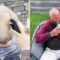 Girl’s Hilarious Summer Haircut for Grandpa Goes Oh-So-Wrong! | Try Not to Laugh