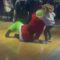 Grinch Tackled by Brave Toddler in Epic Christmas Confrontation | Adorable