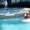 Hilarious Pool Slip-Up: Watch This Girl Make a Splash! | Try Not to Laugh!