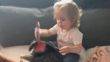 Hilarious-girl-fiercely-guards-pet-cat-from-sister-Super.jpg