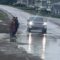 Kids thrilled by puddle splashes from passing car | Adorable