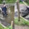 Laughing Toddler Slips into Muddy Water | Adorable