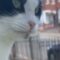 Man’s hilariously cute surprise encounter with cat’s ‘Birdy’ at window! | Adorable