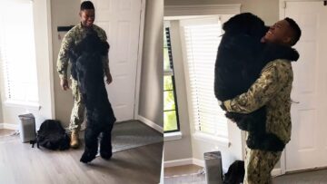 Military-Homecoming-Surprise-Emotional-Reunion-with-Dog-Adorable.jpg