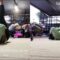 Puppy adorably interrupts workout session | Super Cute