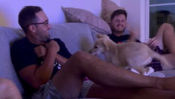 Puppys-Zoomies-Fill-Room-with-Joy-Adorable.jpg