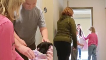 Surprise-Delivery-Girl-Brings-Dog-to-Kids-home-Cute.jpg