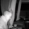 Surprising Doorbell Moment: Watch This Woman’s Hilarious Shock! | Try Not to Laugh!