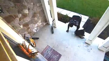 Unexpected-Laughter-Adorable-Stumbles-on-Camera-That-Will-Brighten-Your.jpg