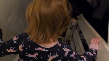 6-yo-Girls-Heartwarming-Christmas-Gift-Surprise-Adorable.jpg