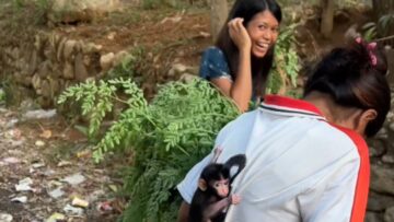 A-Girl-and-Her-Monkey-Discovering-the-Magic-of-Unlikely.jpg