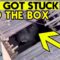 Adorable Bulldog Gets Stuck in Table | Super Cute