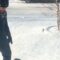 Adorable Toddler’s First Snowfall Adventure | Super Cute