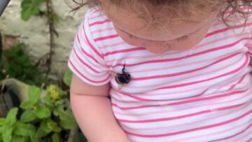 Buzzing-with-Laughter-Dads-Hilarious-Reaction-to-Toddler-vs-Bee.jpg