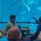 Diver Shares a Tender Moment with a Lemon Shark at Cebu Ocean Park | Heartwarming