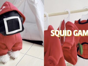 Doggie-goes-full-Squid-Game-Funny-Costumed-Pup-Adorable.jpg