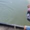 Fishing Fiasco: When Little Brother Takes a Tumble! | Try Not to Laugh!