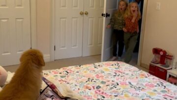 Joyful-Sisters-Unite-with-Their-New-Golden-Retriever-Puppy.jpg