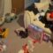 Little Girl’s Joyful Tears Unwrap a Christmas Bunny Surprise! | Heartwarming