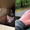 Man Rescues 6 Abandoned Kittens On Road | Adorable Kittens Found! 😻