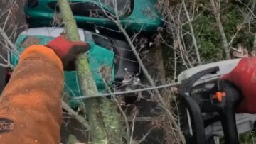 Oops-That-Tree-Tried-to-Fight-Back-Dont-Skip-Cut.jpg