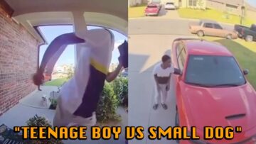 Teen-vs-Tiny-Terror-Hilarious-Chase-Scene-Unleashed-Try.jpg