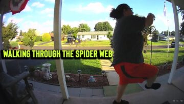 Unexpected-Encounter-Woman-Stumbles-into-a-Giant-Spider-Web-Sparking.jpg