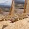 Watch This Man’s Magical Throw as He Perfectly Places Wood on the Roof! | Heartwarming