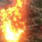 Watch a Tiny Spark Turn into a Shocking Christmas Tree Blaze! | Heartwarming