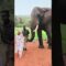 Cute Elephant Gives Woman the Kiss of a Lifetime! 🐘💋 | Adorable